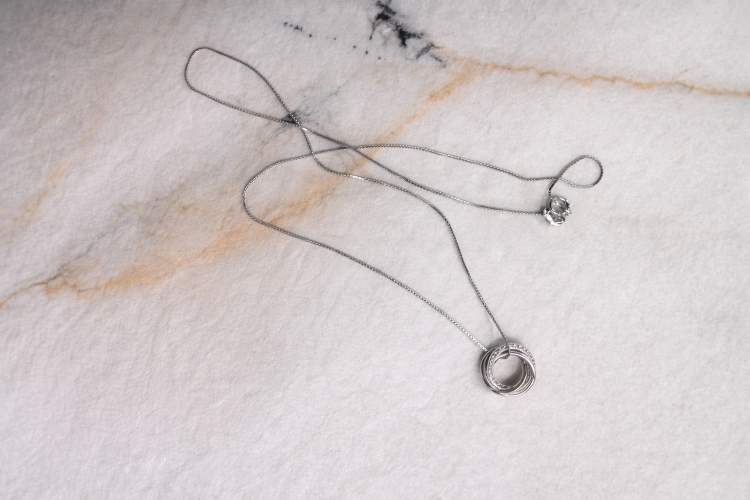 The Eternal Circles SilverNecklace